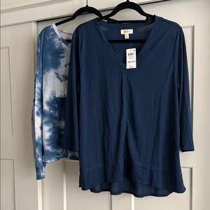 NWT Style & co Blue V-Neck Women's Top bundle